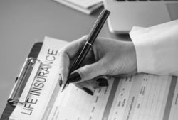 英文黑帽seo，英文黑帽SEO，揭秘与实战策略
