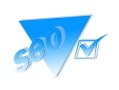SEO优化技术的深度解析与应用策略