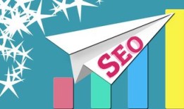 黑帽seo技术是什么网站，黑帽SEO技术揭秘，何为相关网站？
