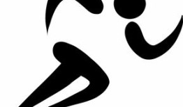 黑帽seo培训网，黑帽SEO培训网，专业技巧与实践指南