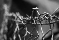 黑帽排名技术使用原理及相关场景应用有哪些