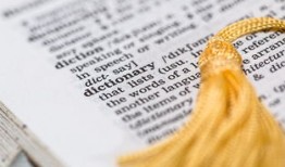 SEO黑帽，揭秘其含义、影响与争议