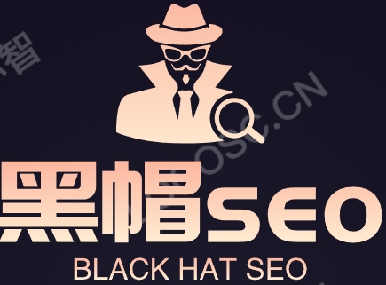 黑帽seo,黑帽seo技术,黑帽seo教程,黑帽seo培训