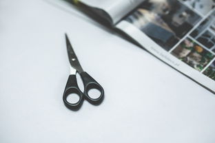 SEO黑帽工具，利与弊的深度解析