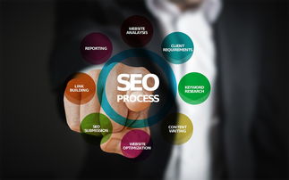 SEO优化,提升网站流量的关键策略 SEO优化,提升网站流量的关键策略
